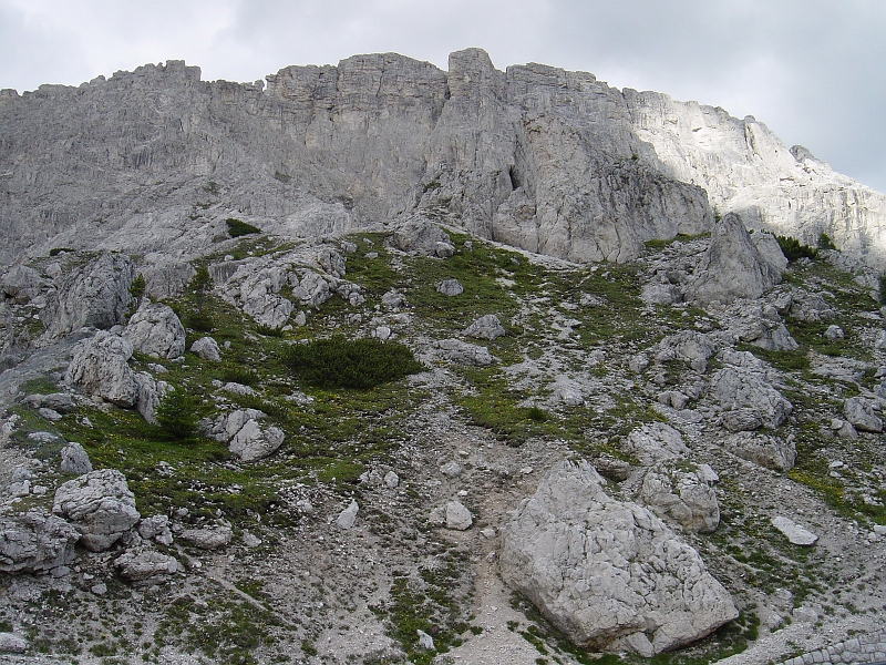 DSC00407.JPG