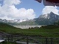 DSC00361