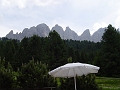DSC00379