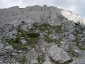 DSC00407